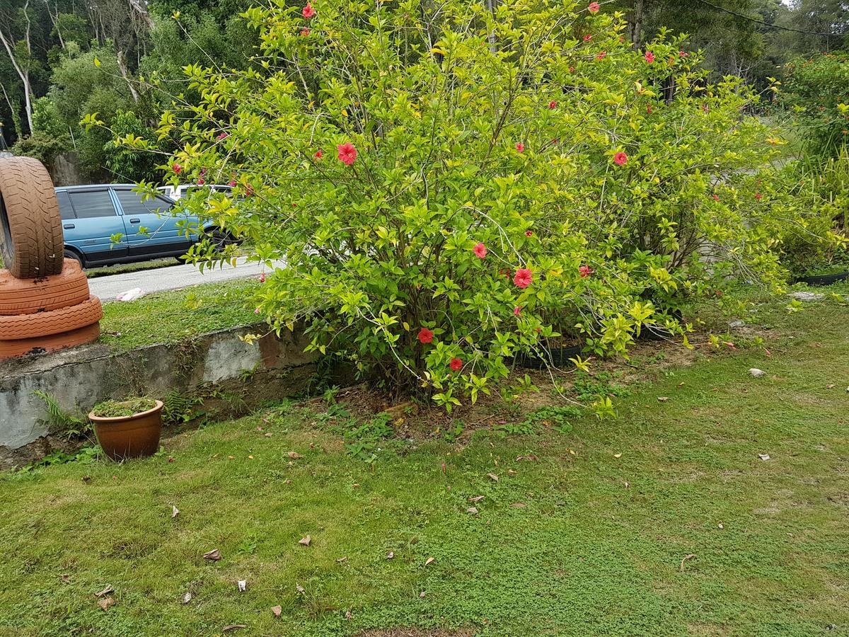 Inap Bayu Tc Appartement Kuantan Buitenkant foto